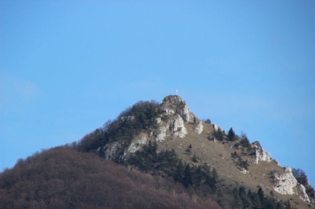 IMG_5601