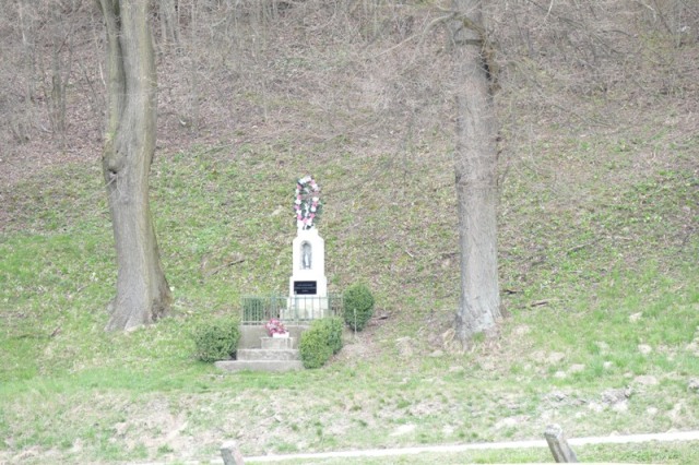 P1000557