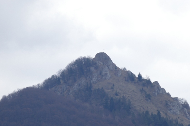 P1000623